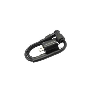 BOBINA IGNICION MOTO YAMAHA YBR125 XTZ125 11->